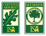 ISA logo